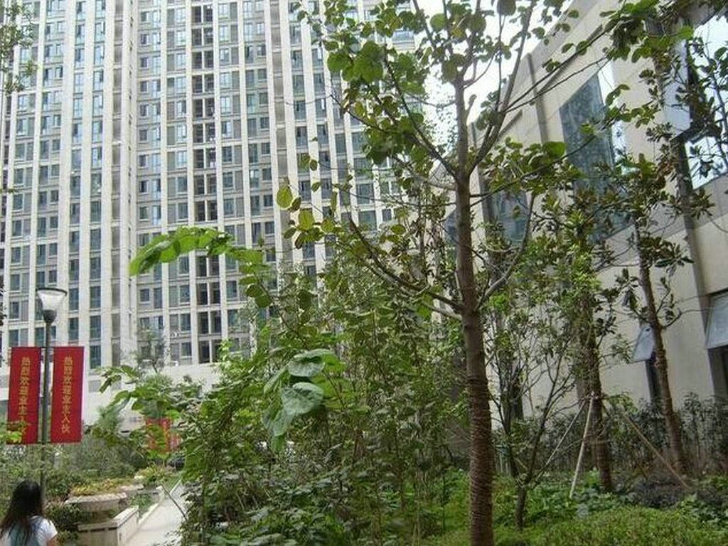 旅行家青年公寓(南京绿博园店)