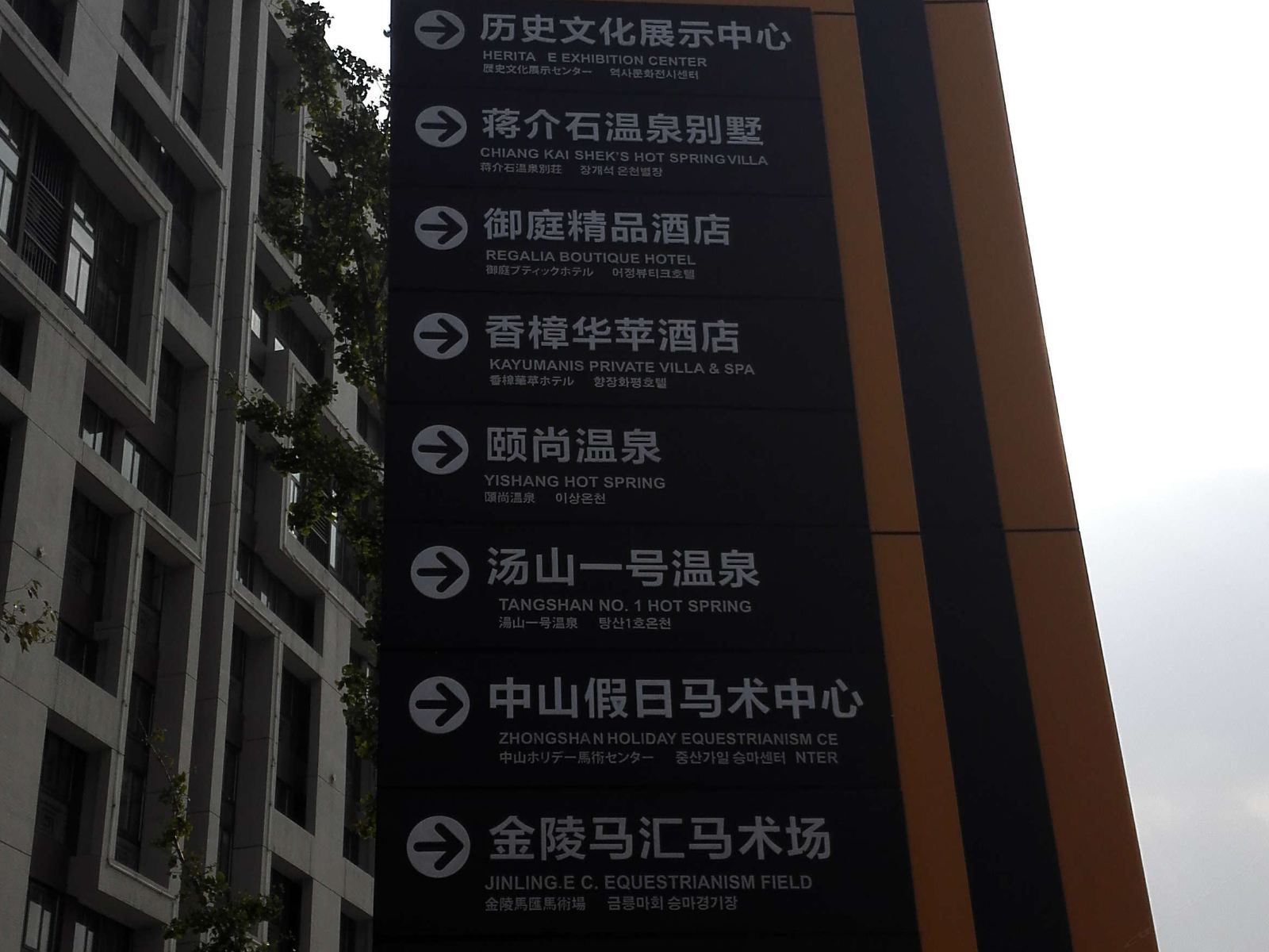 外观