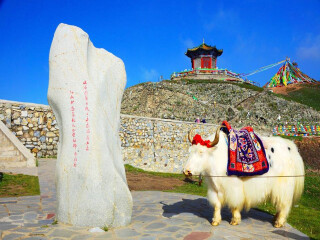 旅游到青海_春节青海游_青海7日游费用