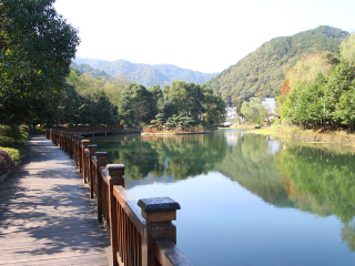 武汉旅游五日游_武汉旅行网_武汉跟团游线路