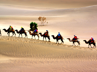 新疆旅游團(tuán)報(bào)價(jià)2021_新疆旅游多少錢(qián)一個(gè)人_新疆游組團(tuán)