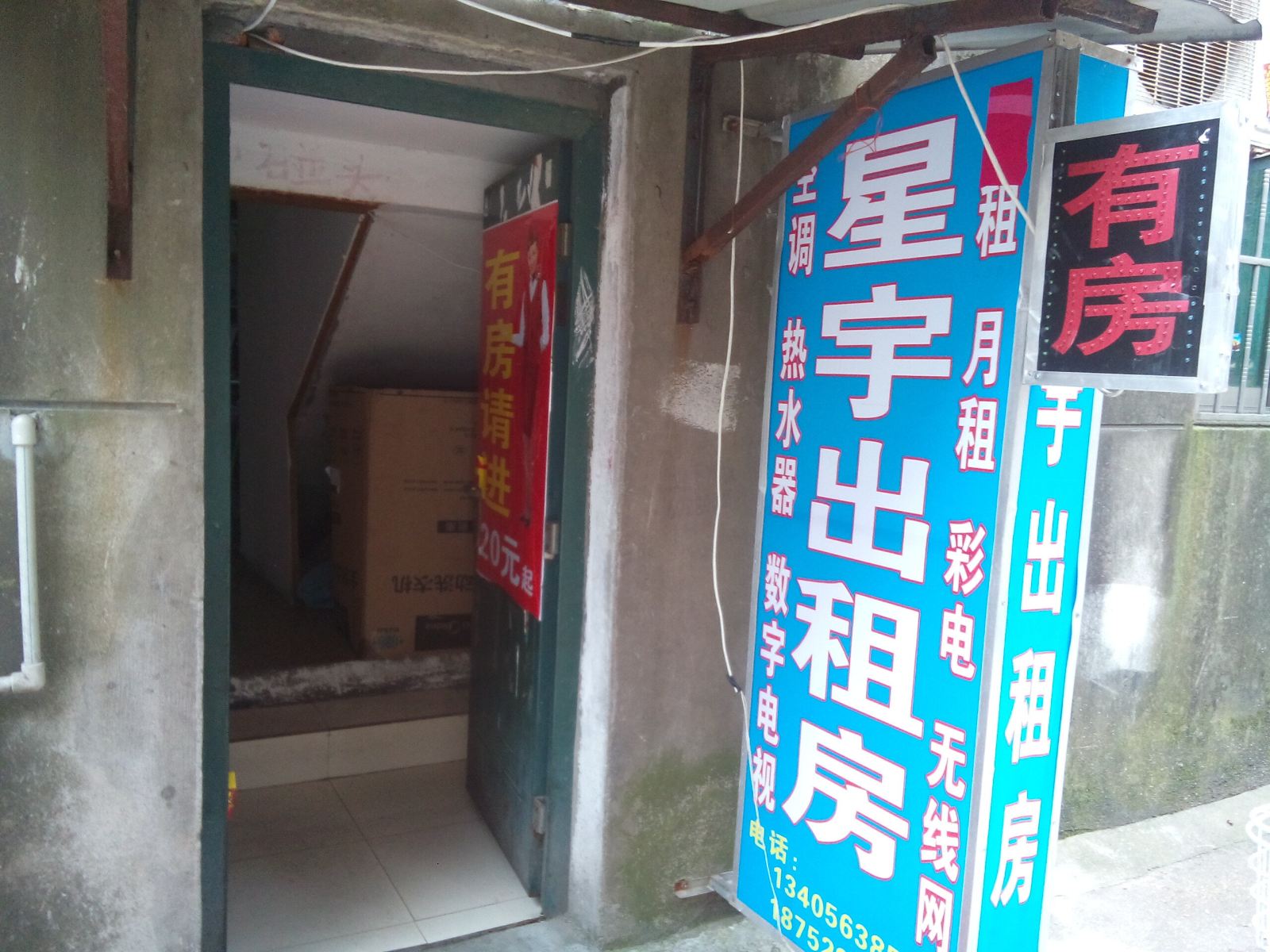 外观