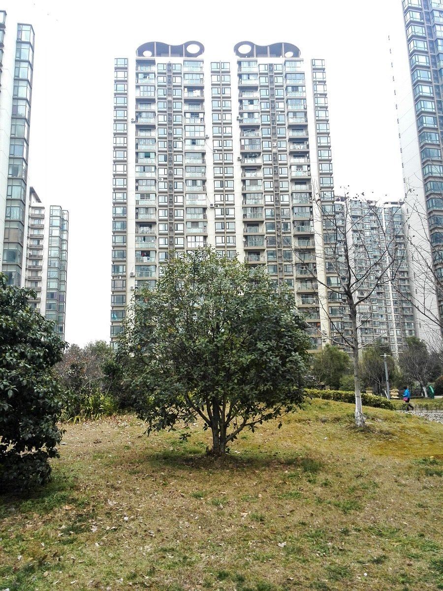扬州石山公寓