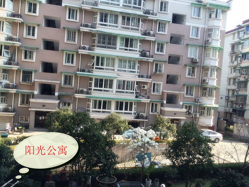 肥肥鱼新阳光公寓(杭州朝晖店)
