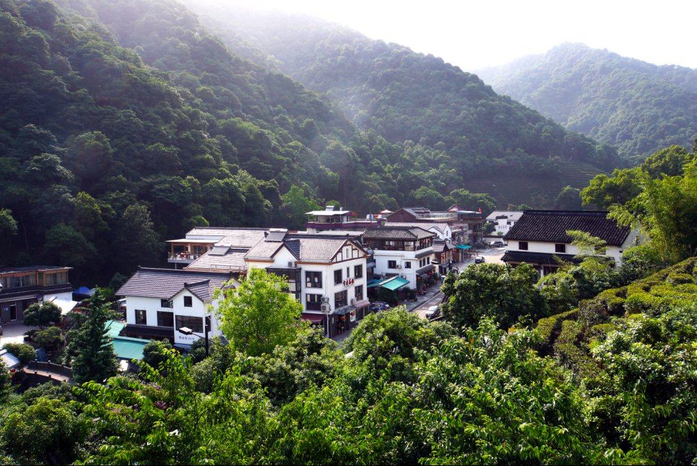 杭州桂树茶庄