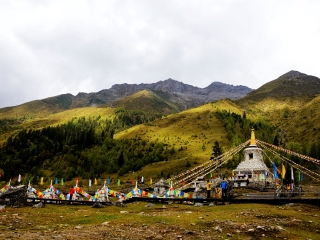 成都跟团游与自由行_去成都旅游哪_成都旅游要多少钱跟团