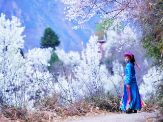 成都跟团游与自由行_去成都旅游哪_成都旅游要多少钱跟团