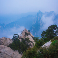 景点模块 