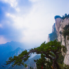 景点模块 