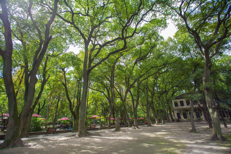 烟雨江南诗情画意 Cii-sluvczSIOUe3AHsM7JjfRxUAAOc8wB3v7QAew0E030_w800_h0_c0_t0.jpg