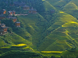 桂林漓江最適合旅游的季節(jié)_到桂林漓江旅游多少錢_桂林漓江八月份旅游