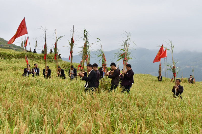 秘境黔东南—加榜"新米节"