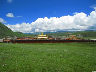 成都跟团游与自由行_去成都旅游哪_成都旅游要多少钱跟团