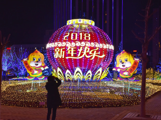 去大連旅游要多少錢_大連跟團還是自由行