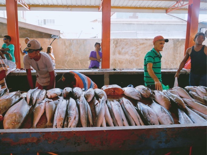 【逗比姐姐】蜜月十一日游迪拜+塞舌尔(含塞舌