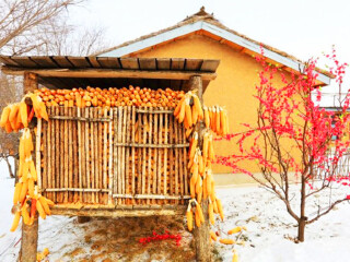 深圳报团去哈尔滨旅游_去哈尔滨游团_哈尔滨旅游苏梅岛