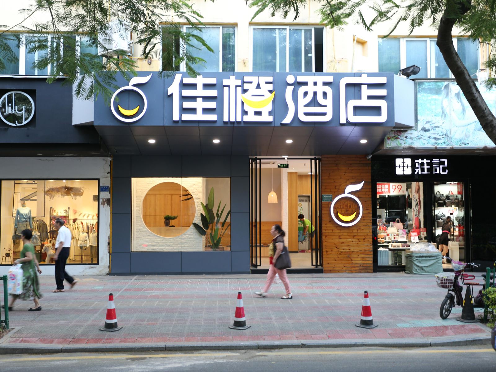 外观