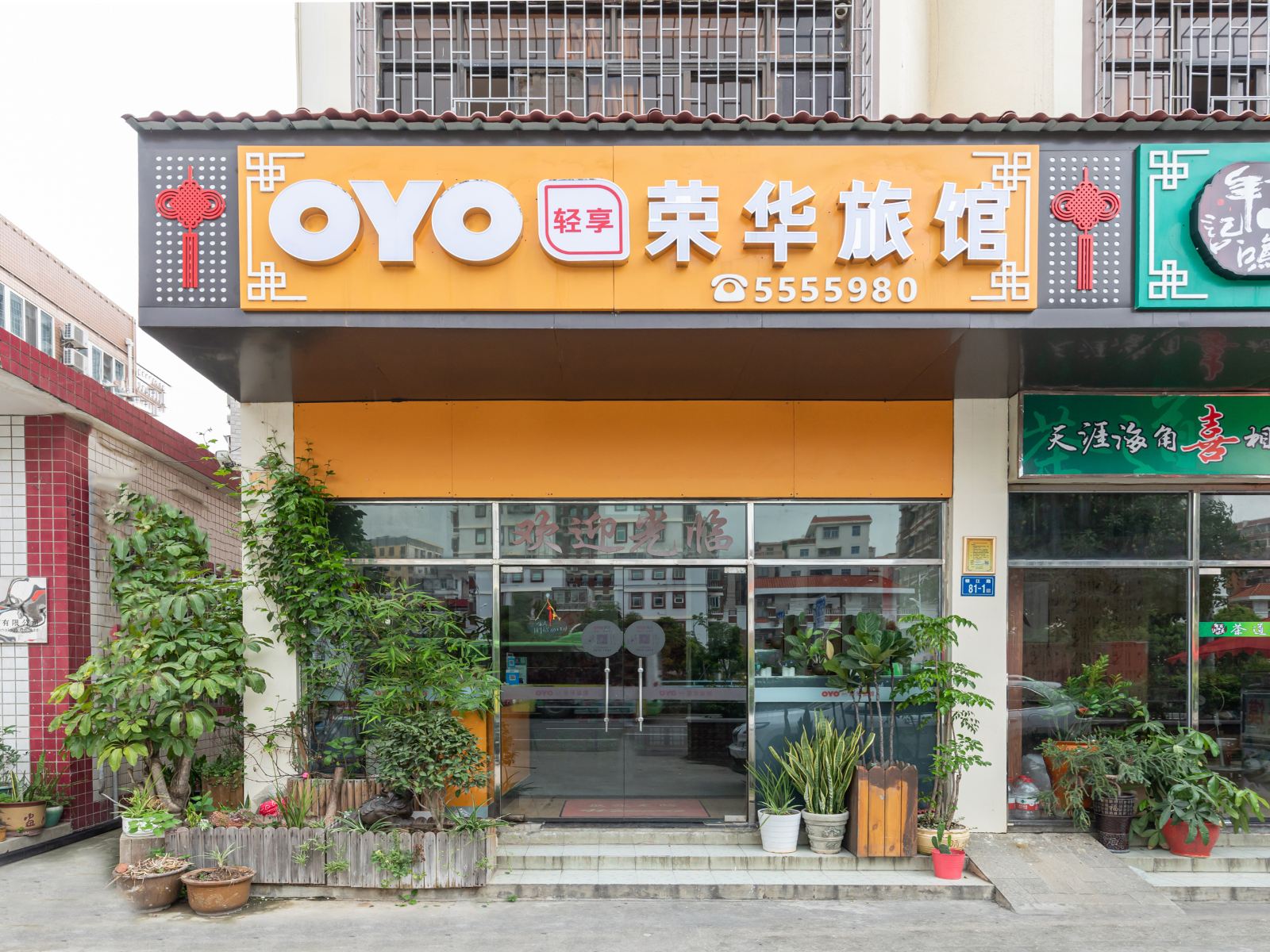 外观