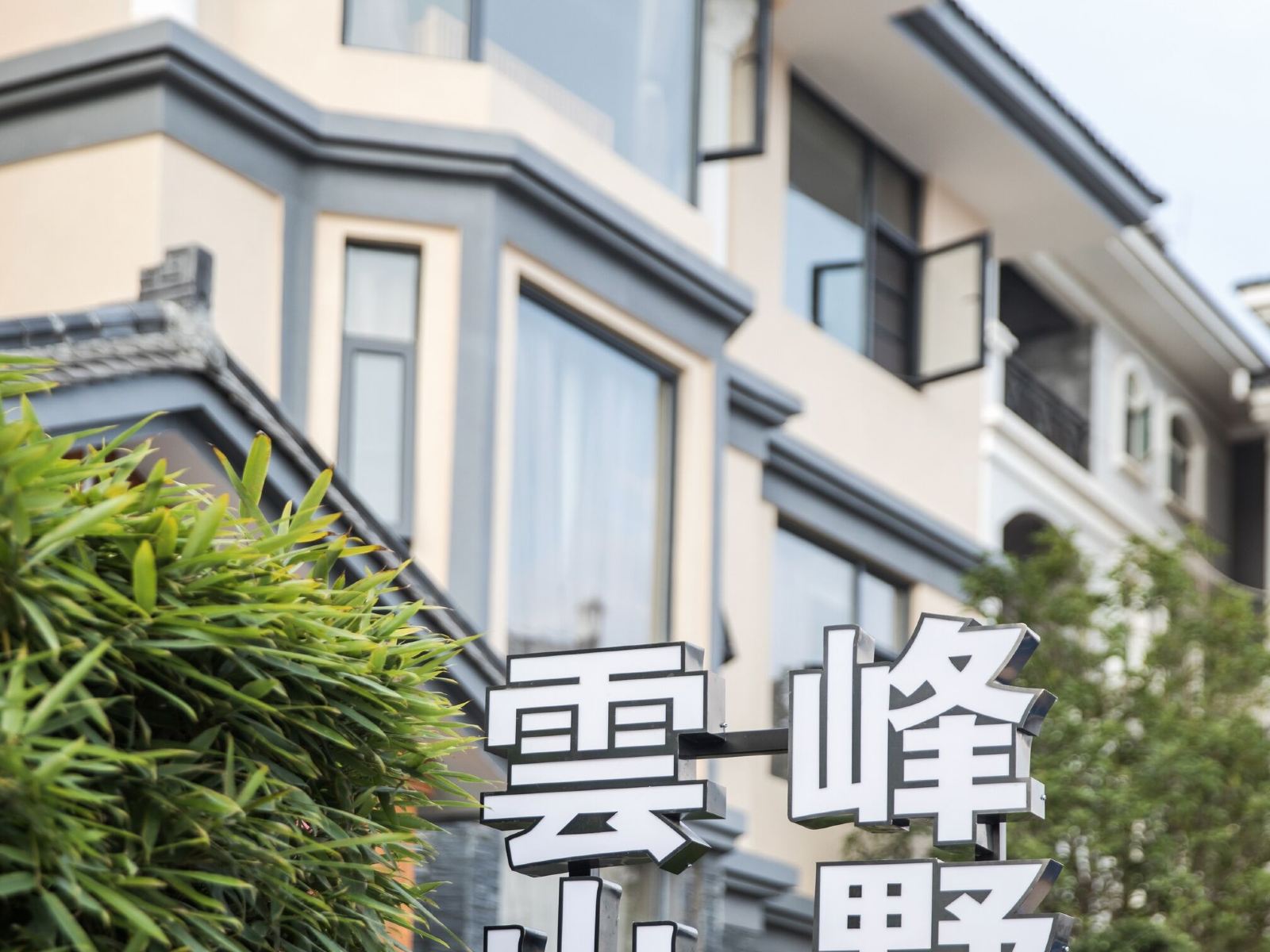 外观