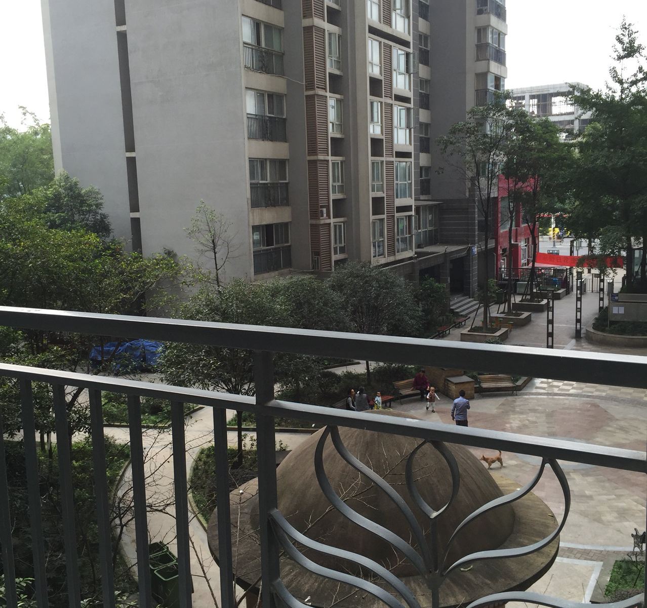 成都步履不停