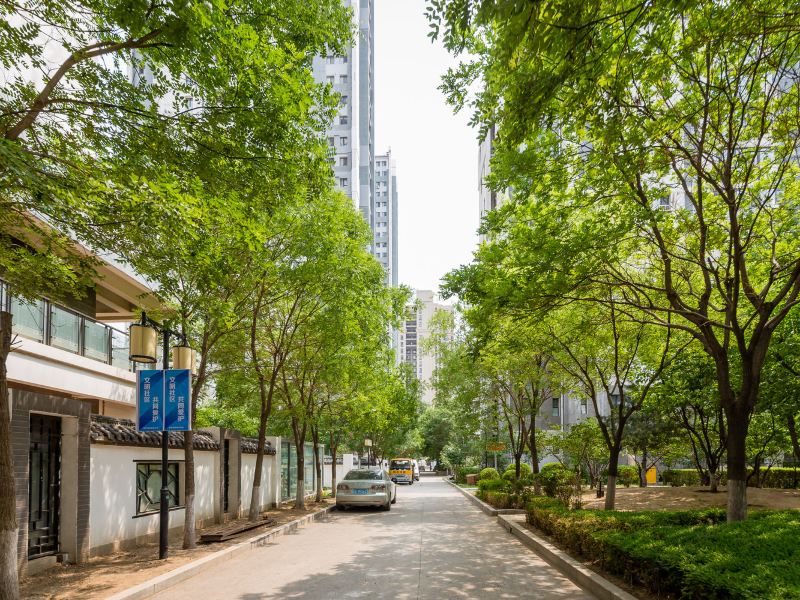 沈阳小宇复式