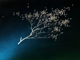 廈門(mén)鼓浪嶼自由行費(fèi)用_報(bào)團(tuán)去廈門(mén)鼓浪嶼多少錢(qián)_廈門(mén)鼓浪嶼旅游多少錢(qián)