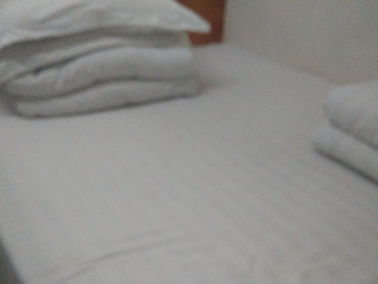 标准单人间
