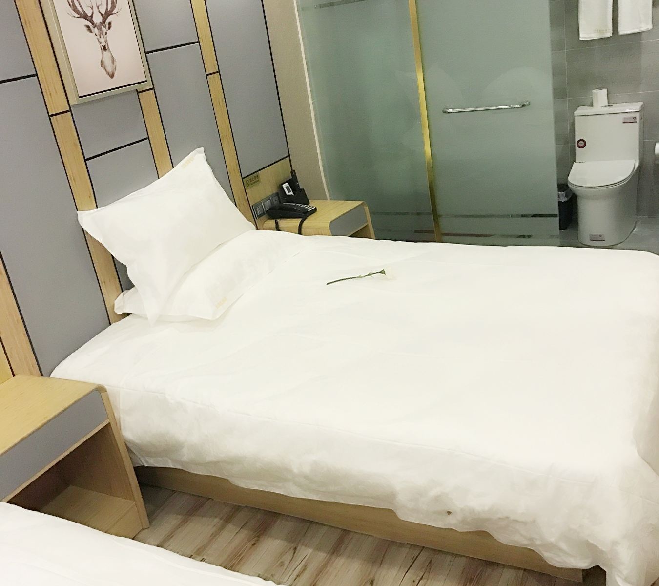 精致双床房