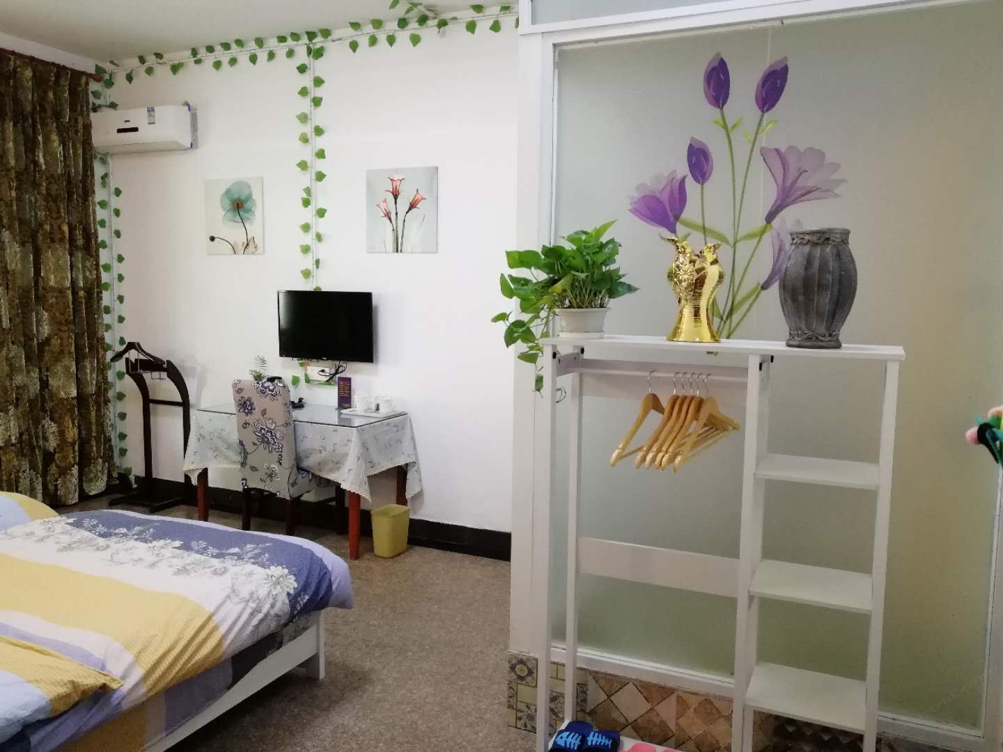 白鱼标间