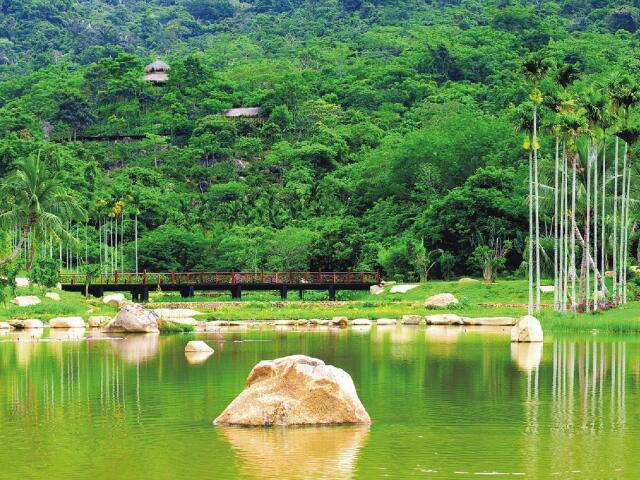 级景区【呀诺达雨林文化旅游区/约120分钟】(含"呀诺达"景区内观光车)