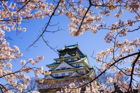 <日本东京-大阪机票+当地6日游>纯玩/4到8人独立小团/全程自由活动/含全程交通/搭乘新干线行程轻松自由 <日本东京-大阪机票+当地6日游>纯玩/4到8人独立小团/全程自由活动/含全程交通/搭乘新干线行程轻松自由