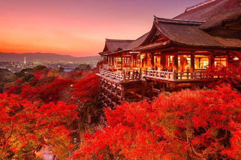 日本旅游景点排名_日本旅游景点图片(3)