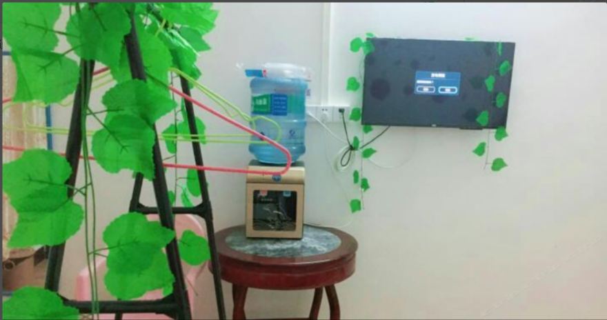 标准大床房
