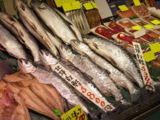 从深圳到日本北海道旅游_日本北海道六日旅游_日本北海道11日游价格