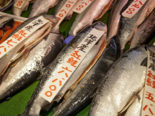 从深圳到日本北海道旅游_日本北海道六日旅游_日本北海道11日游价格