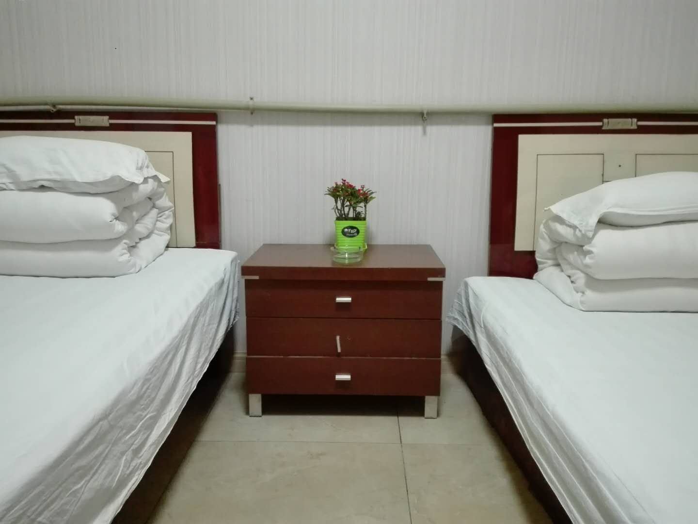 标准双床房