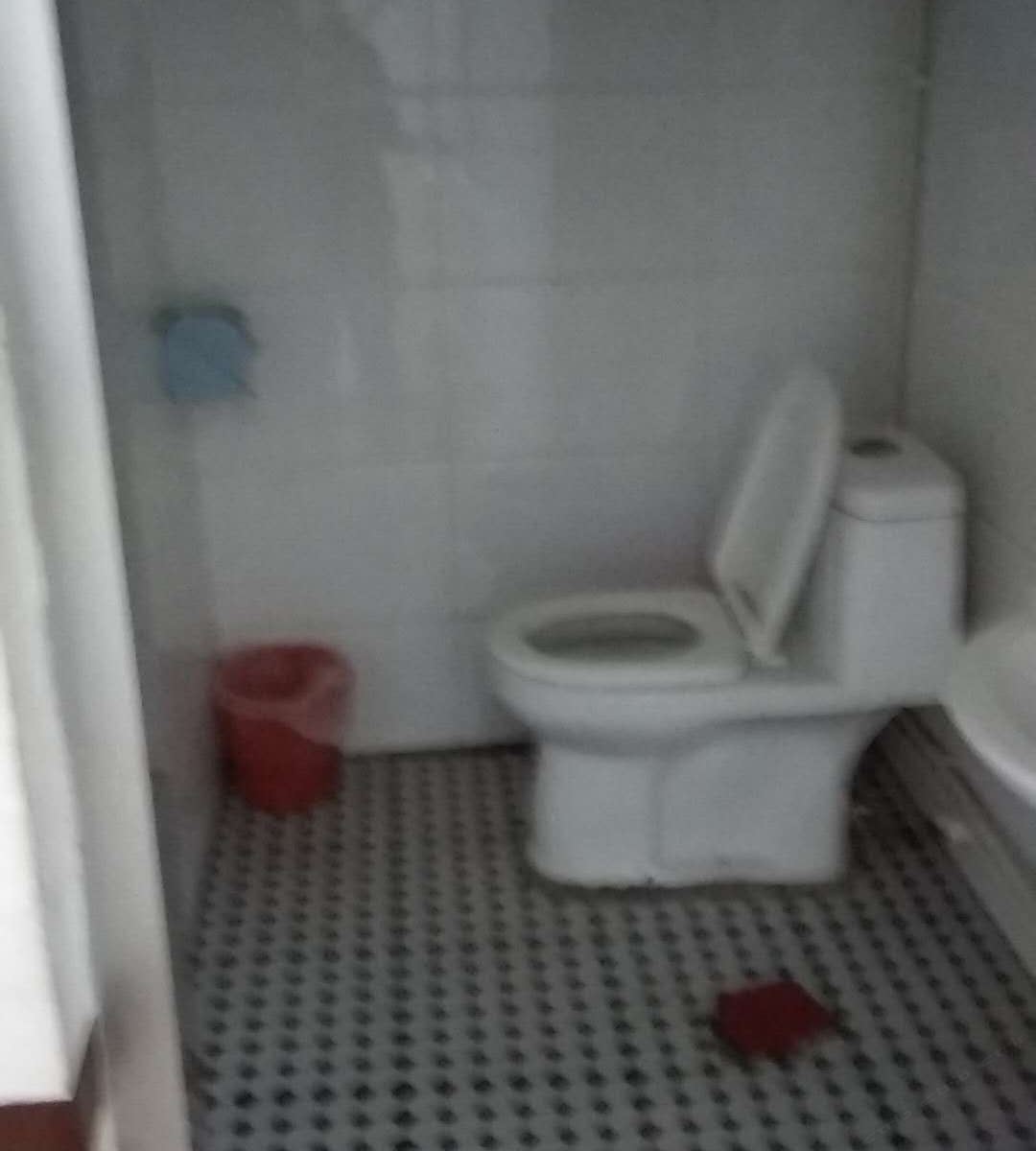 标准大床房