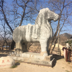 景点模块 