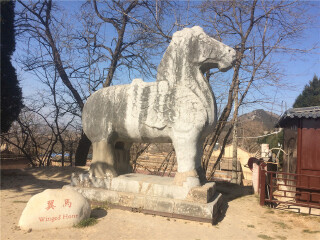西安兵马俑观光旅游_跟团西安兵马俑游价格_去西安兵马俑报团多少钱