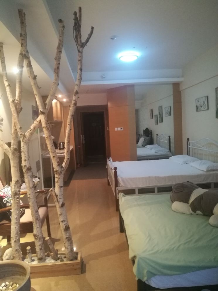 精选双床房