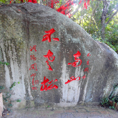 景点模块 