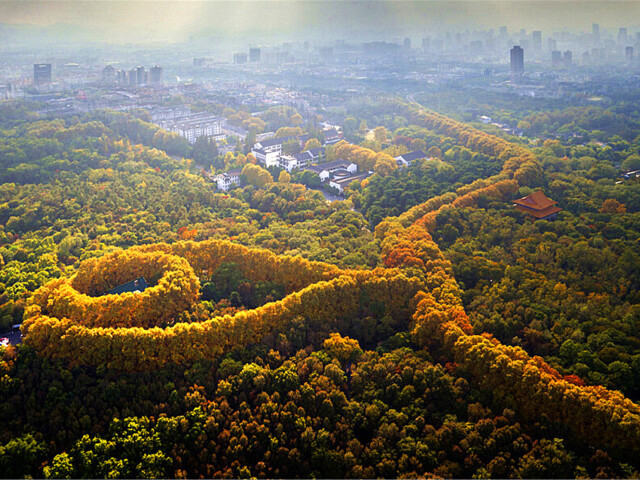 深度讲解精华景点(府,六朝博物馆,夫子庙,中山陵,钟山风景区)1价