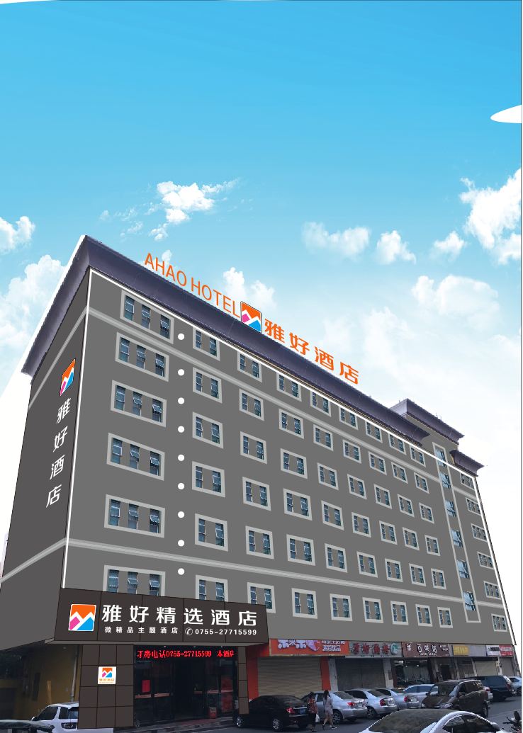 外观