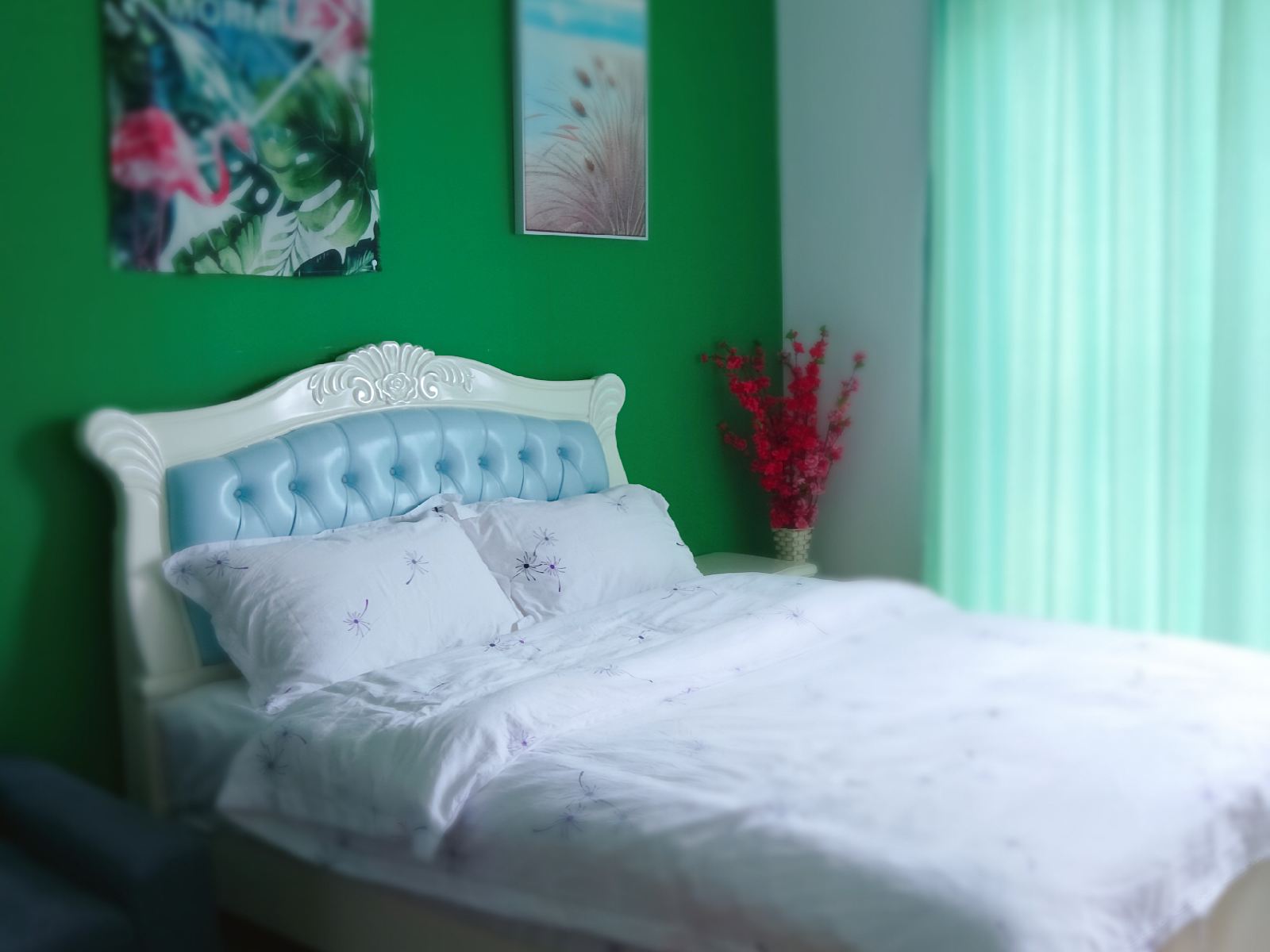 全景小清新