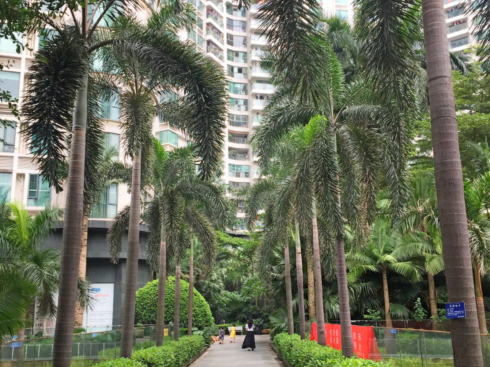 深圳西红柿青年旅社