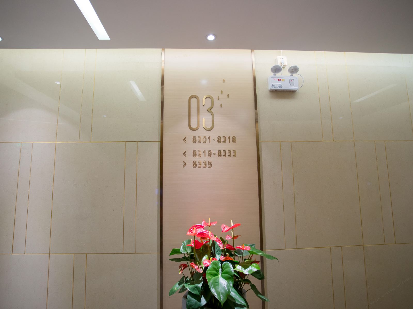 公共区域