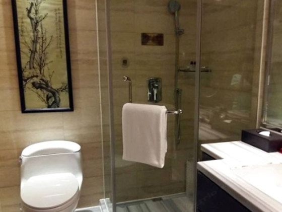 豪华双床房
