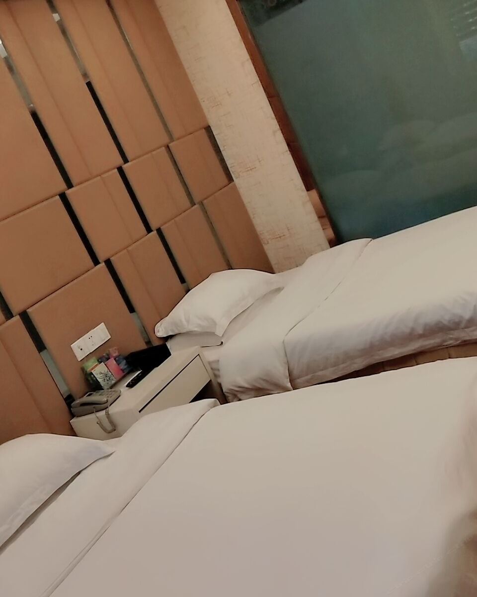 豪华双床房