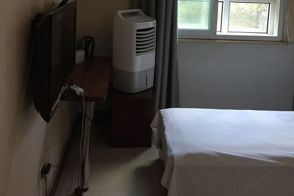 标准双床房
