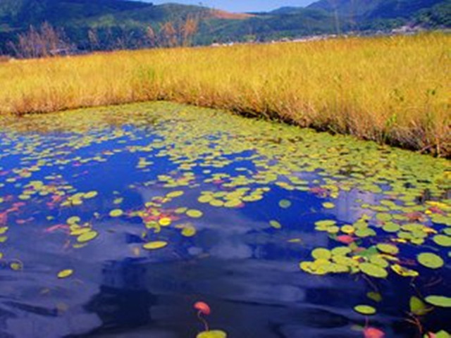 腾冲北海湿地公园